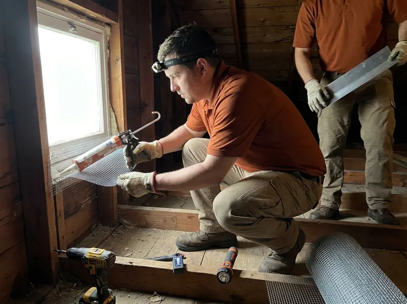 Attic Wildlife Trapping, Gable Exclusion & Entry Sealing in Windsor Mill, MD